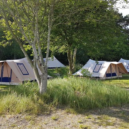 Ameland Tentenverhuur Nes (Ameland, Friesland) Exterior foto