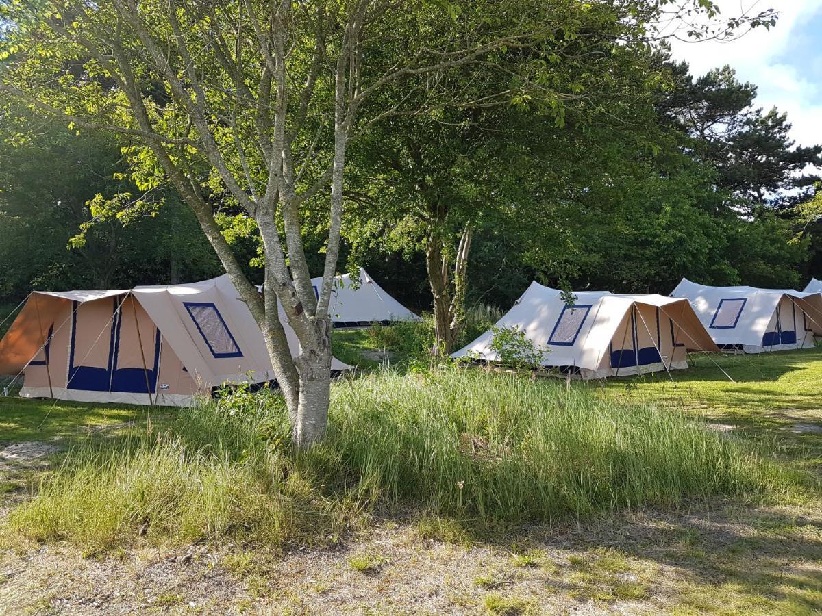 Ameland Tentenverhuur Nes (Ameland, Friesland) Exterior foto